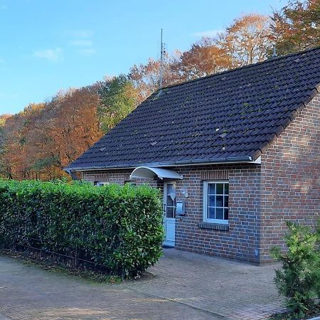 "Am Waldesrand" Re16 Villa Sögel Exteriör bild