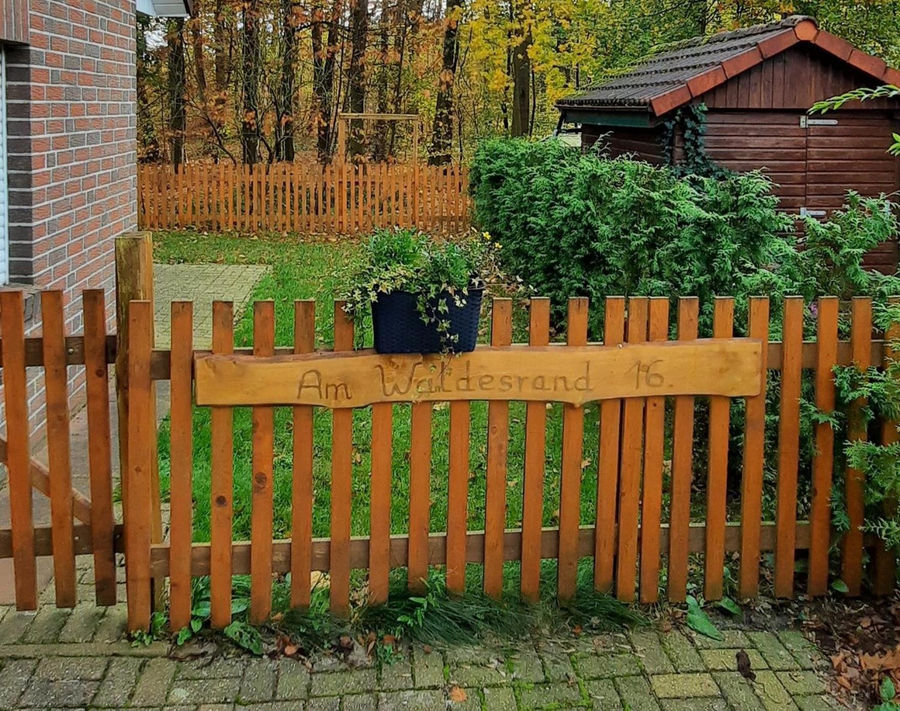 "Am Waldesrand" Re16 Villa Sögel Exteriör bild