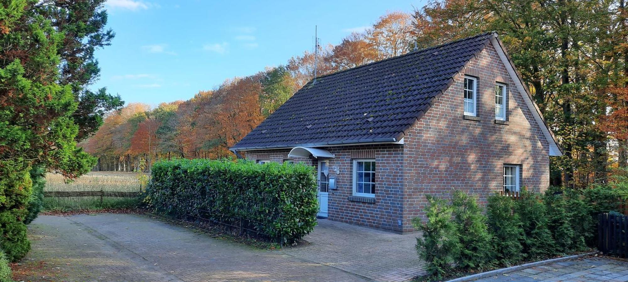 "Am Waldesrand" Re16 Villa Sögel Exteriör bild